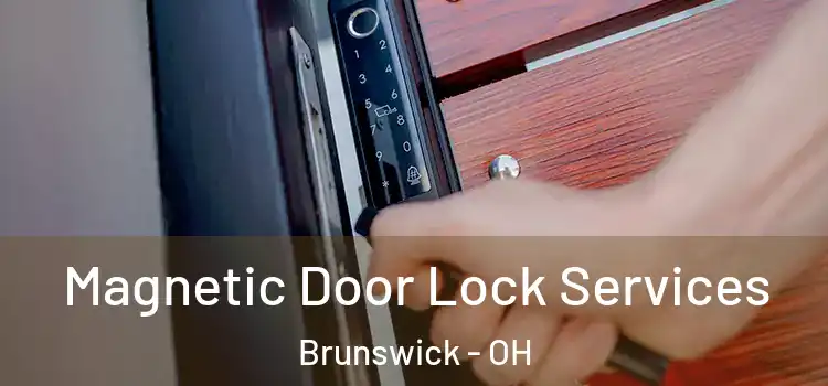 Magnetic Door Lock Services Brunswick - OH