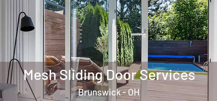 Mesh Sliding Door Services Brunswick - OH